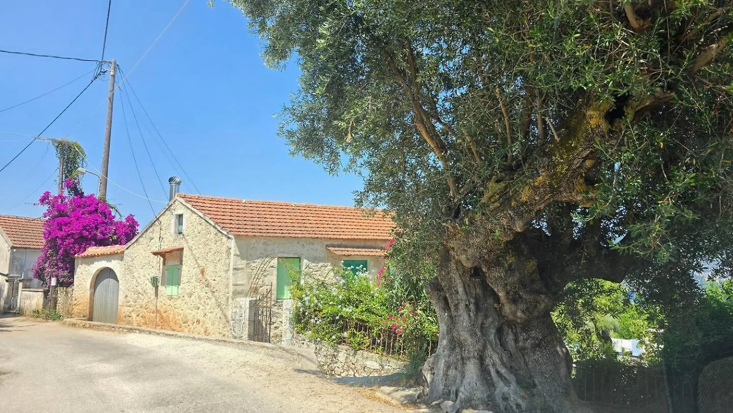 Villa Levanda Fiskardo